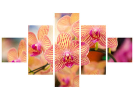 5-piece-canvas-print-exotic-orchids