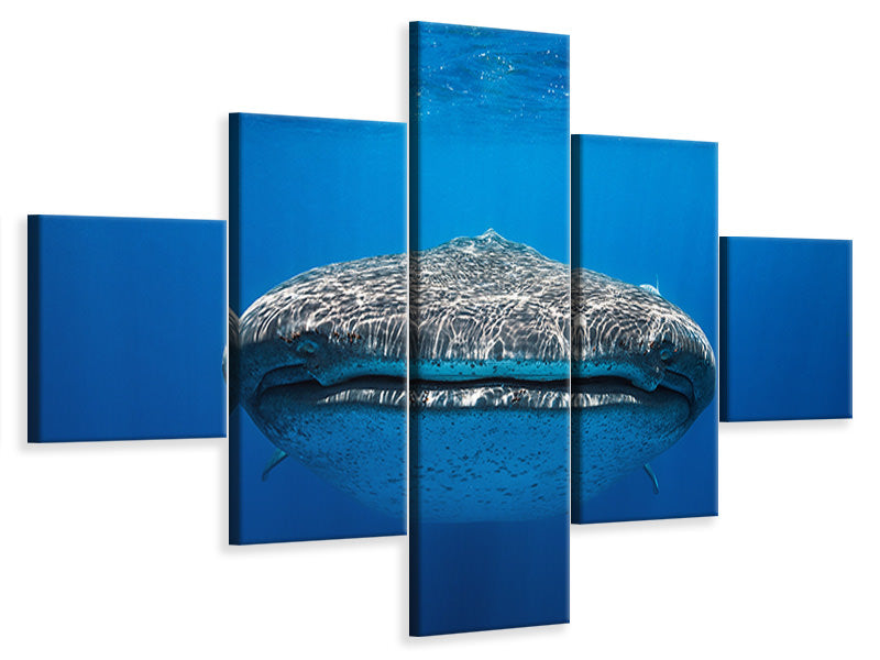 5-piece-canvas-print-face-to-face-with-a-whale-shark