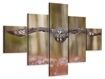 5-piece-canvas-print-great-grey-owl