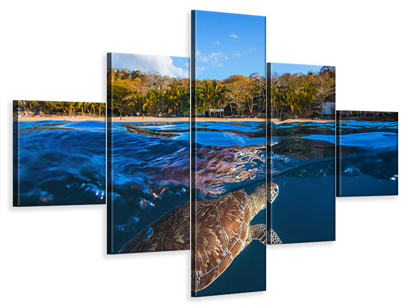 5-piece-canvas-print-green-turtle-sea-turtle