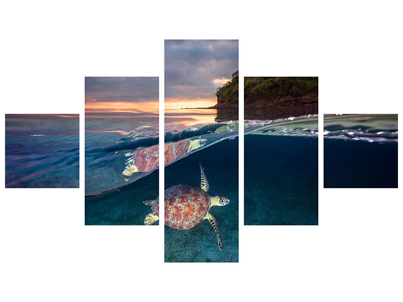 5-piece-canvas-print-green-turtle-with-sunset