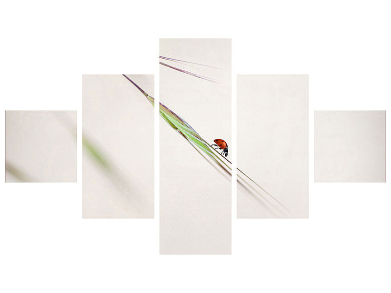 5-piece-canvas-print-ladybug