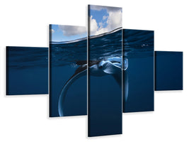 5-piece-canvas-print-little-manta-ray