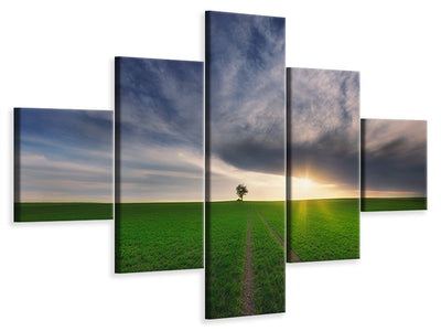 5-piece-canvas-print-loner-in-the-sun