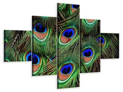 5-piece-canvas-print-peacock-feathers-xxl