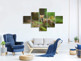 5-piece-canvas-print-red-fox