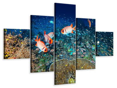 5-piece-canvas-print-reef-lifeii