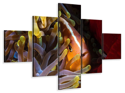 5-piece-canvas-print-skunk-clownfish