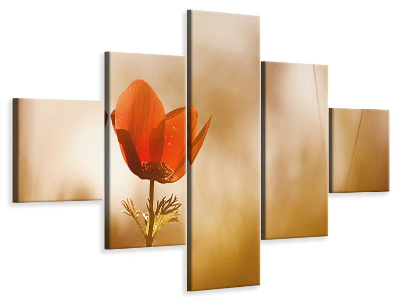 5-piece-canvas-print-untitled-xxxi