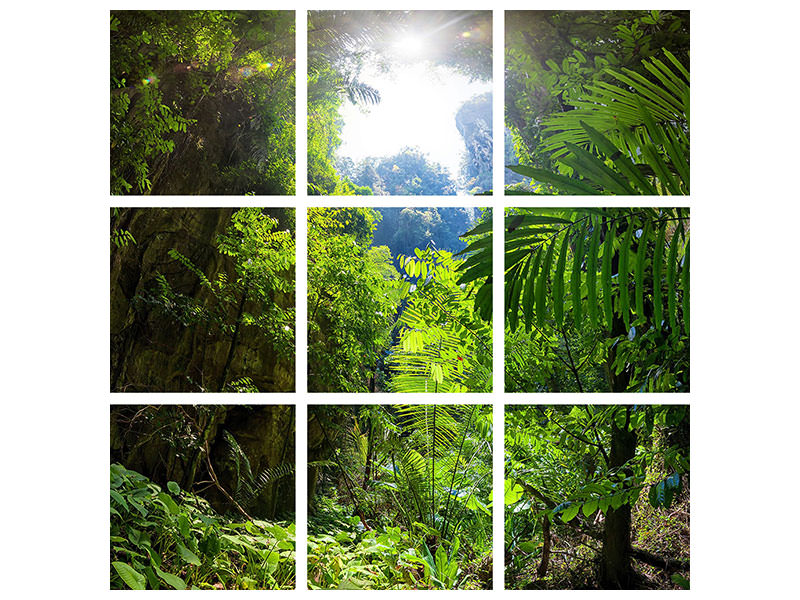 9-piece-canvas-print-clearing-in-the-jungle