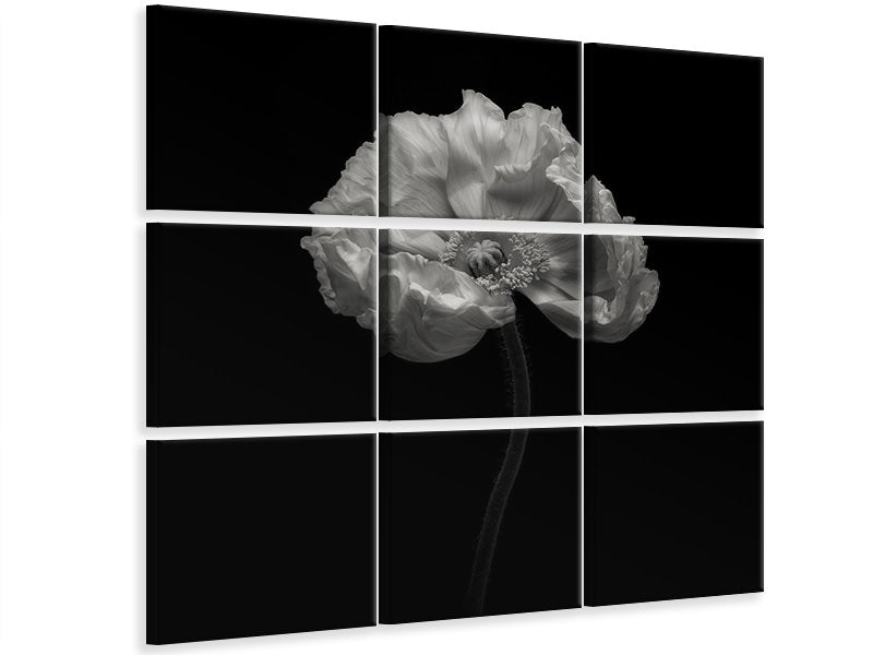 9-piece-canvas-print-poppy-a