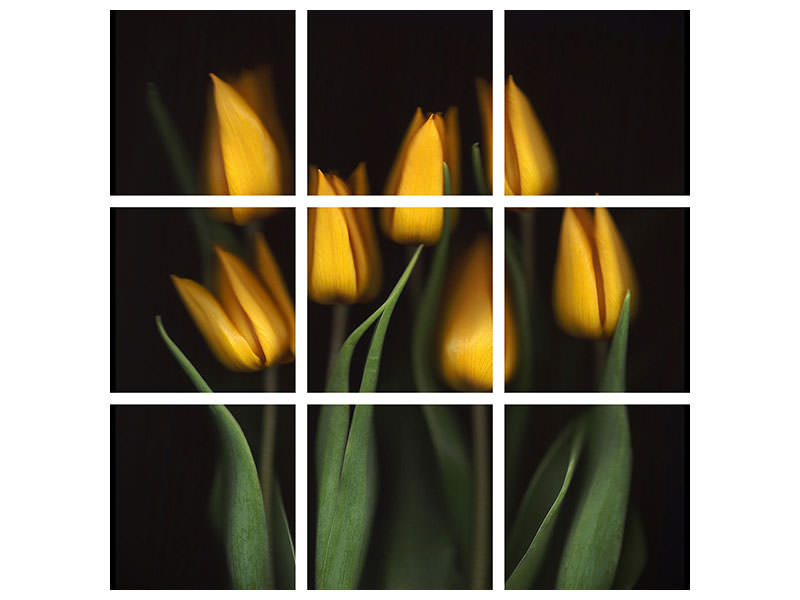 9-piece-canvas-print-tulips-ii