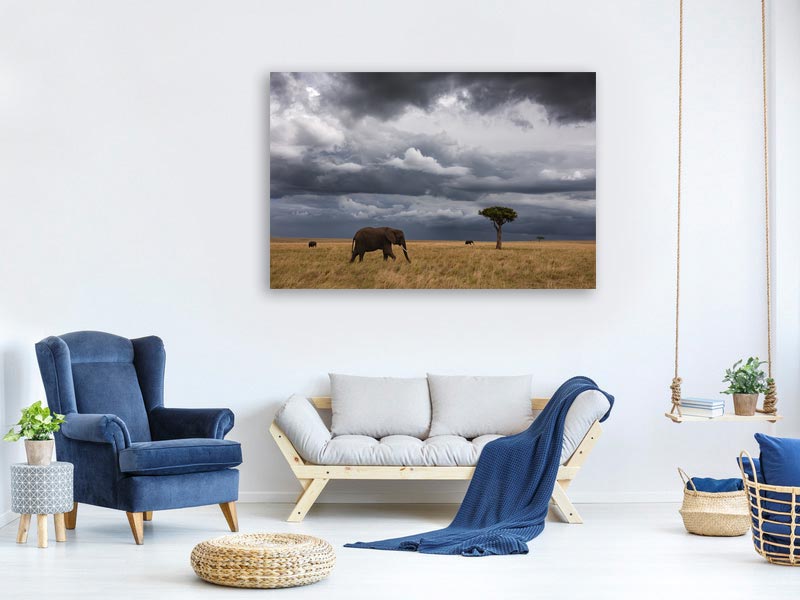 canvas-print-african-sky-x