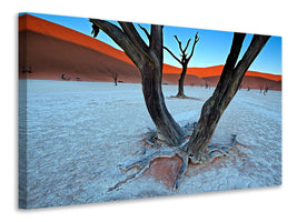 canvas-print-ancient-trees-in-the-vlei