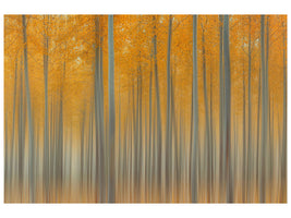 canvas-print-autumn-delight-ii