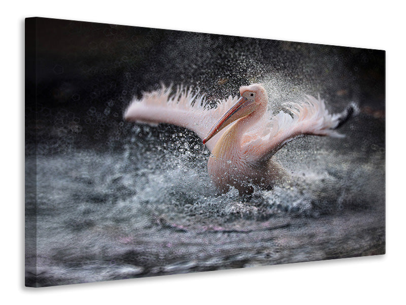 canvas-print-bathing-fun