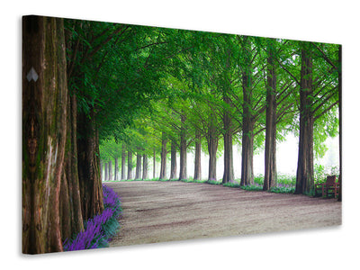 canvas-print-beautiful-tree-avenue
