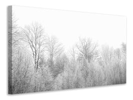 canvas-print-birches-in-the-snow