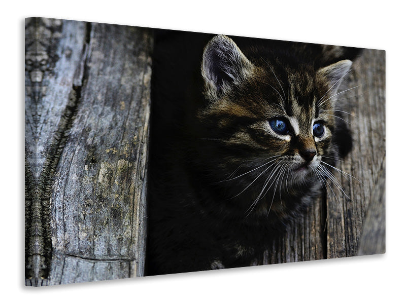 canvas-print-cats-child