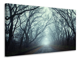 canvas-print-cloud-forest