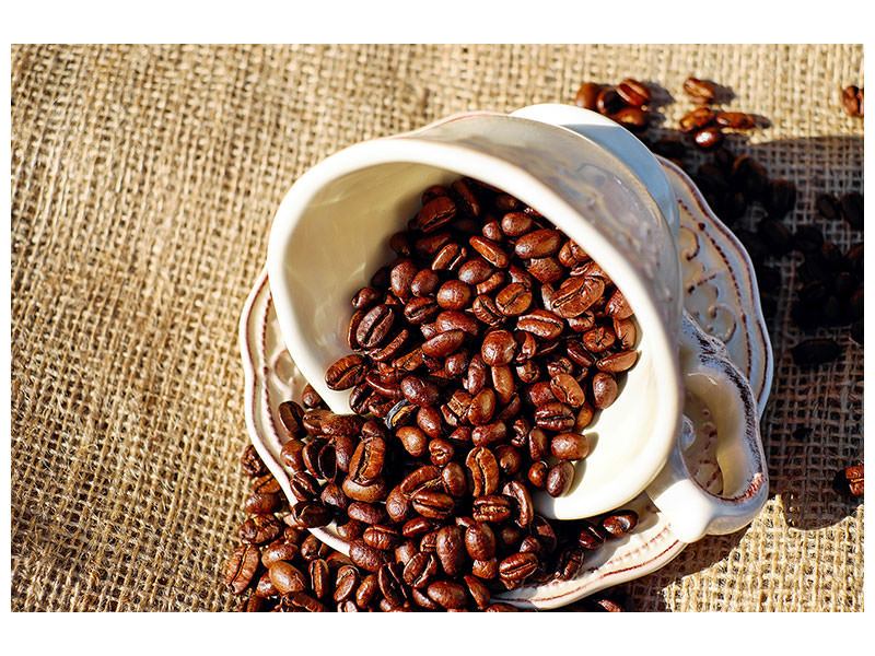 canvas-print-coffee-beans-in-the-cup