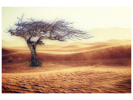 canvas-print-desert-storm