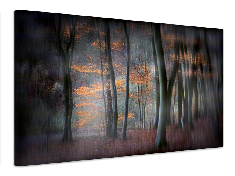 canvas-print-enchanted-forest-xil