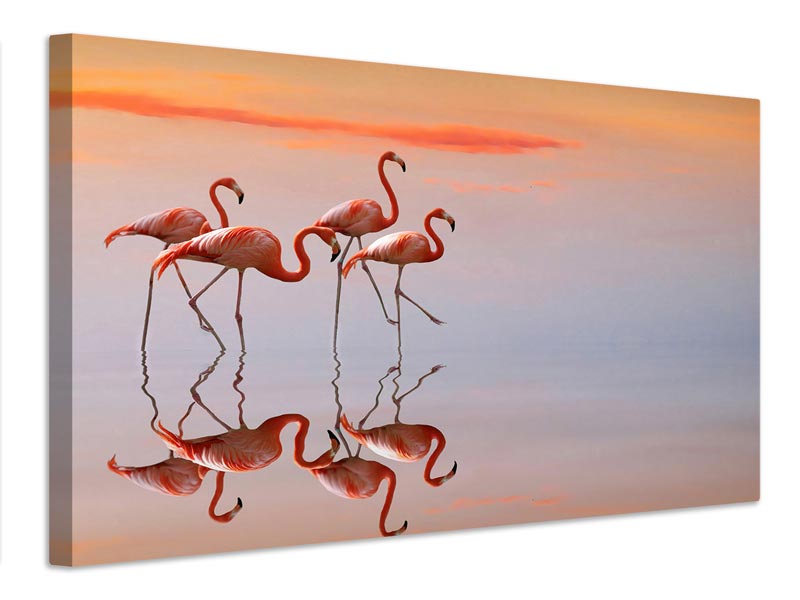 canvas-print-flamingos-family-x