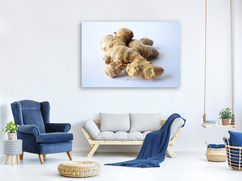 canvas-print-fresh-ginger-tuber