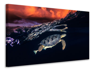 canvas-print-green-turtle-and-sunset-sea-turtle