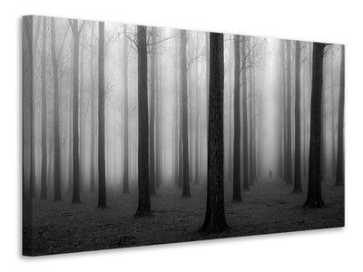 canvas-print-in-a-fog