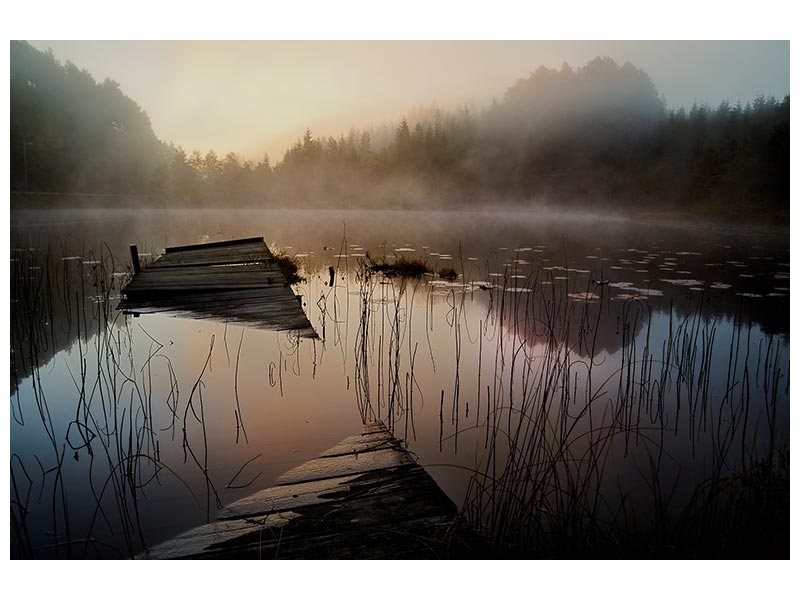 canvas-print-in-the-misty-morning-x
