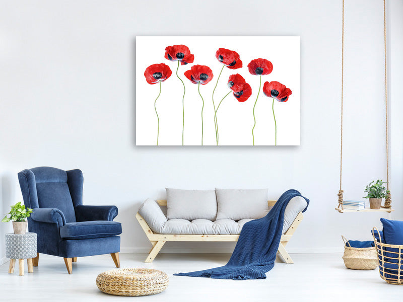 canvas-print-ladybird-poppies