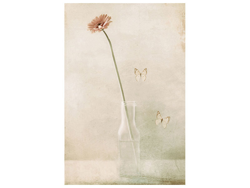 canvas-print-miss-daisy