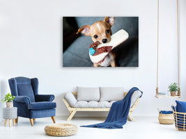 canvas-print-obedient-chihuahua