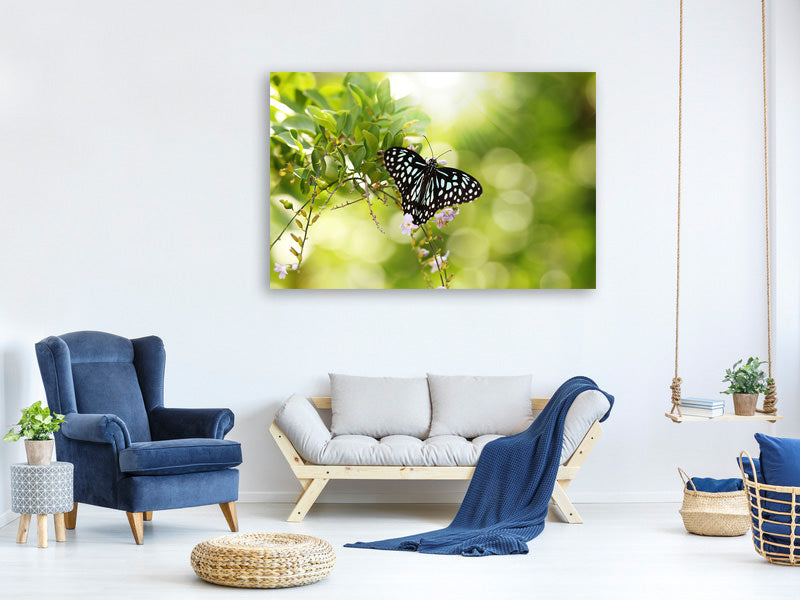 canvas-print-papilio-butterfly-xxl