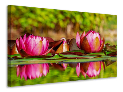 canvas-print-red-water-lily-trio