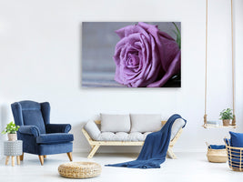 canvas-print-rose-in-purple-xxl