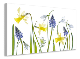 canvas-print-spring