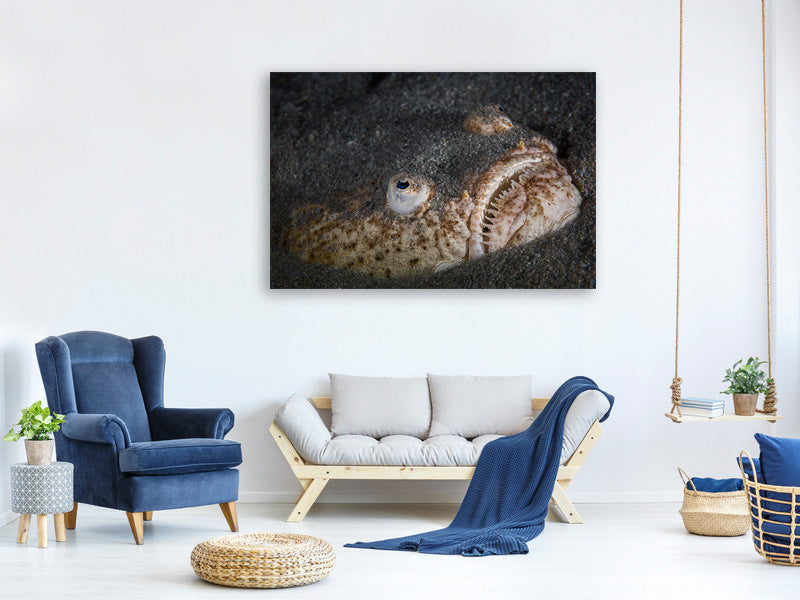 canvas-print-stargazer