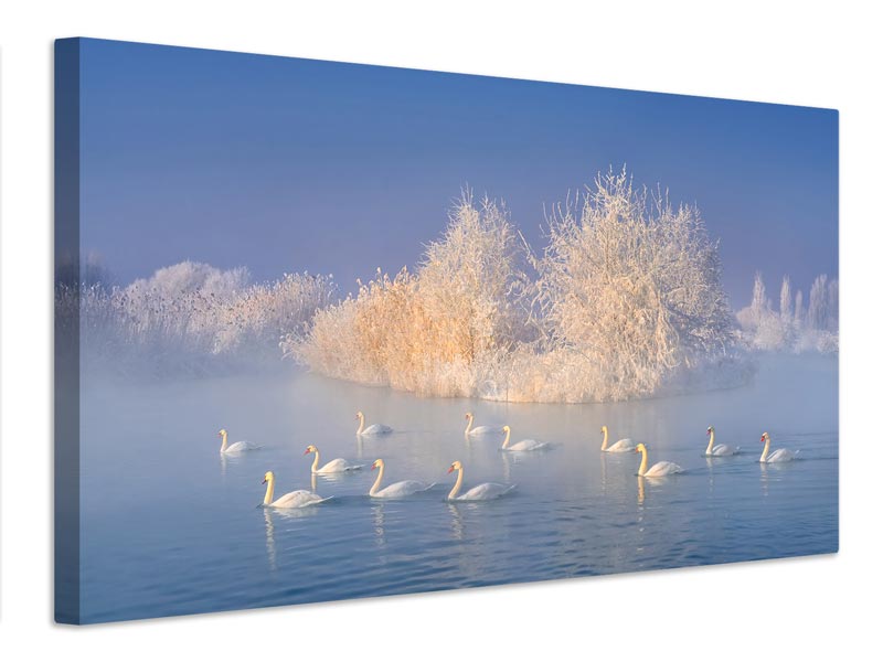 canvas-print-swan-lake-xge