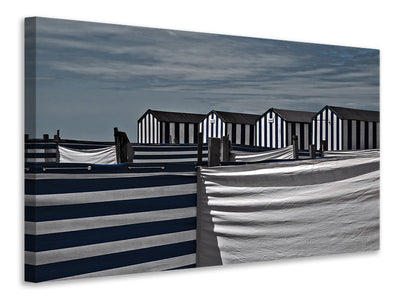 canvas-print-territorial-behavior