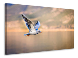 canvas-print-the-flying-seagull