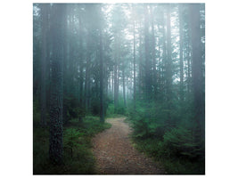 canvas-print-the-forest-of-secrets