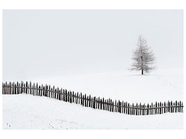 canvas-print-the-larch-behind-the-fence-x