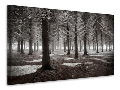 canvas-print-the-onset-of-winter