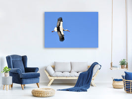 canvas-print-the-stork-in-action