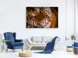 canvas-print-tiger-face