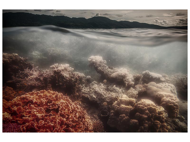 canvas-print-underwater-evening-x