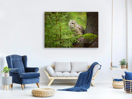 canvas-print-ural-owl-x